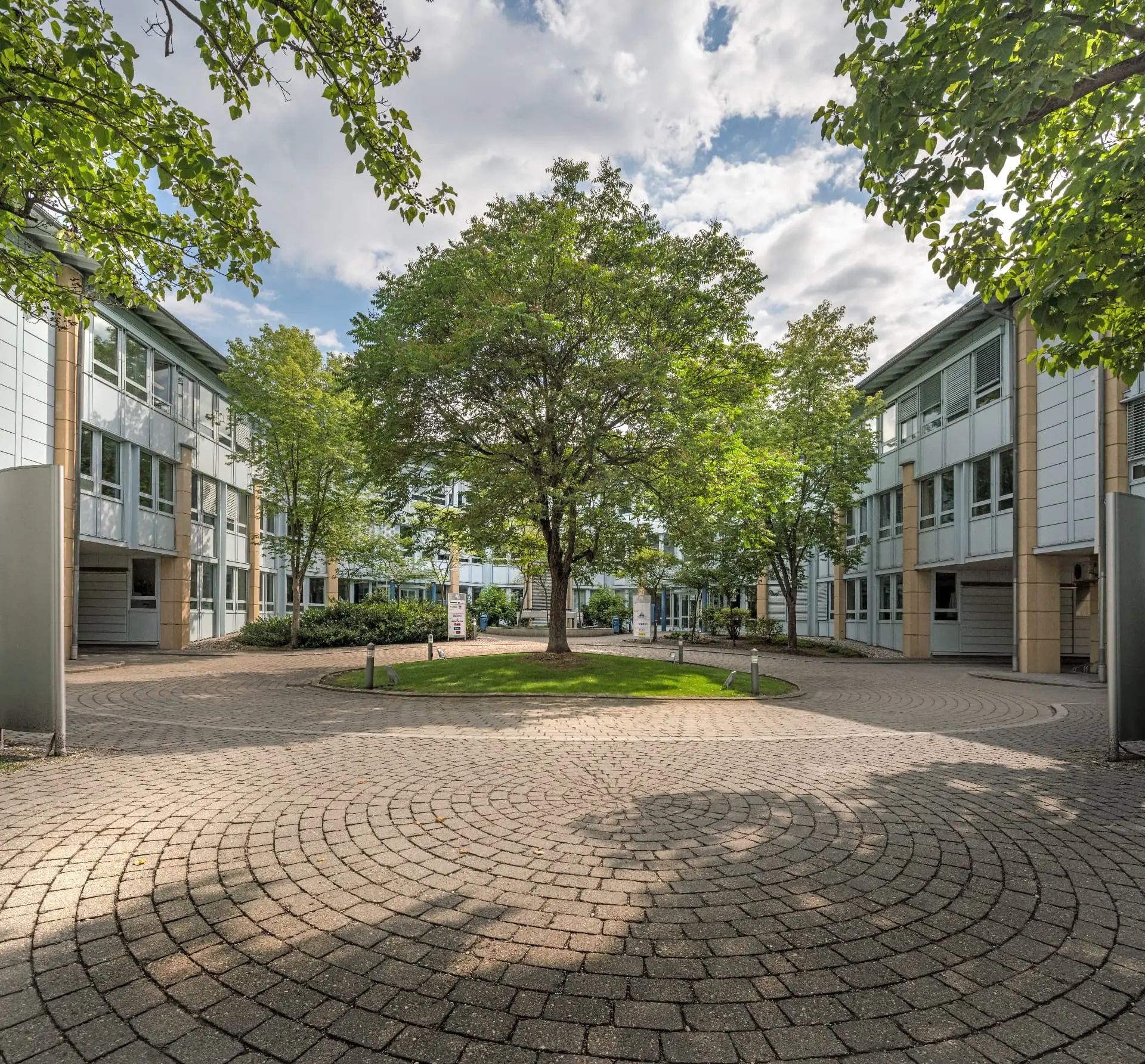 Begrünter Innenhof des PEGASUS Bürogebäudes mit großer Esche